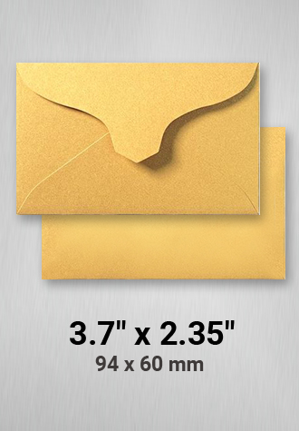 Business Card Envelope